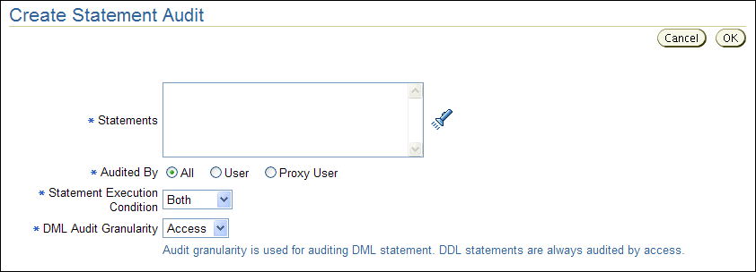 Create Statement Audit page
