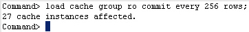 読取り専用キャッシュ・グループのロード