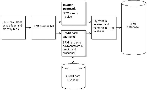 Description of Figure 1-1 follows