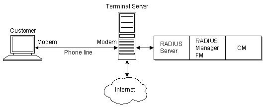 Description of Figure 1-1 follows