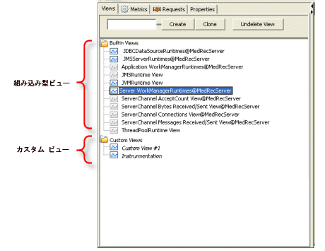 [Views] タブに表示される組み込み型ビューとカスタム ビュー