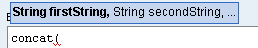 The String parameter