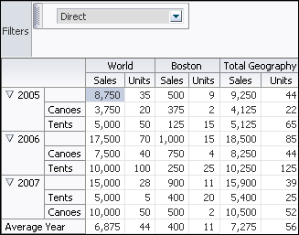 Pivot table with pivot filter bar.