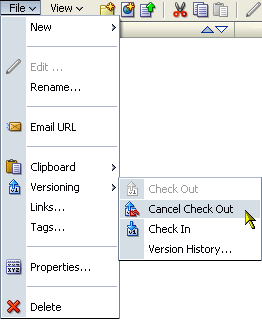 Cancel Check Out on the File menu