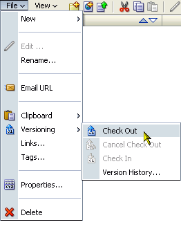 Check Out option on the File menu