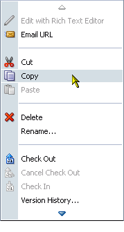 Copy command on the file context menu