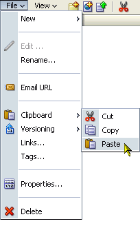 Paste command on the File menu