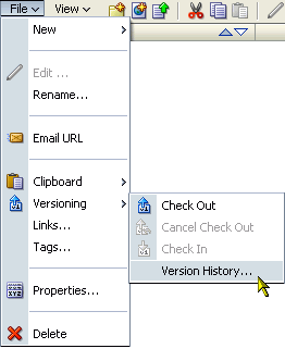 Version History option on the File menu