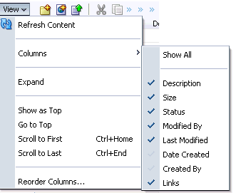 Document Manager task flow View menu