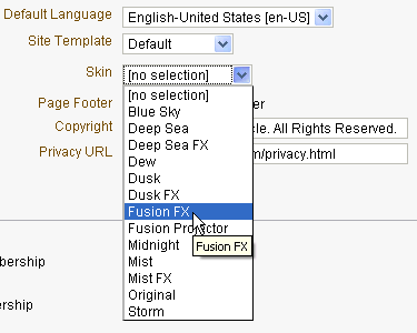 Setting group space skin