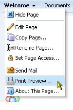 Print Preview option on a page actions menu