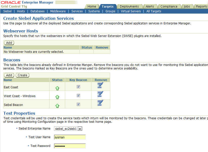 Shows sample data for Create Siebel Application Services page.