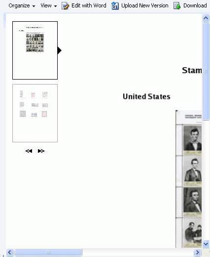 File Preview in Slide Viewer