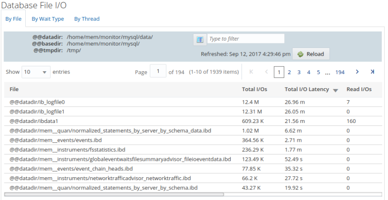 Example of the Database File I/O By File report.