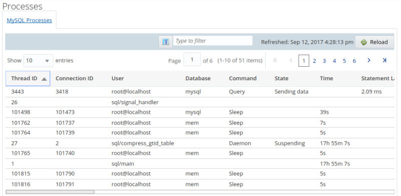 Example of the MySQL Processes report.