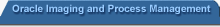 [Oracle Imaging and Process Management]