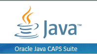 Java