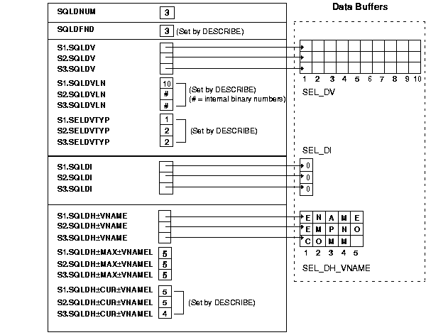 select descriptor after the DESCRIBE select descriptor after the DESCRIBE