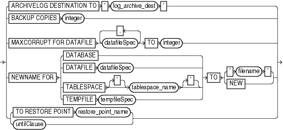 Surrounding text describes setrunoption.gif.