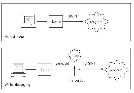 Diagram of the normal case where the signal is delivered and the debugging case where the signal is intercepted and cancelled by dbx.