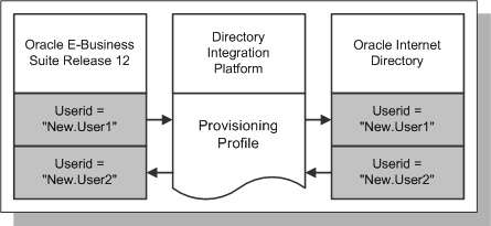 the picture is described in the document text