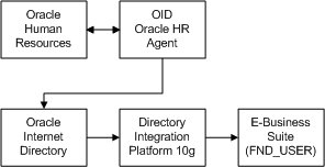 the picture is described in the document text