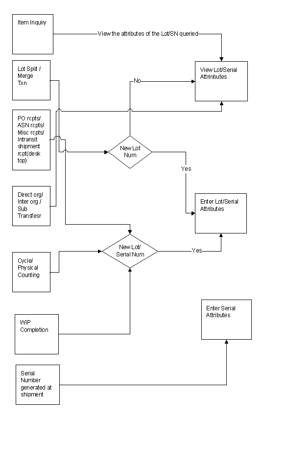 the picture is described in the document text