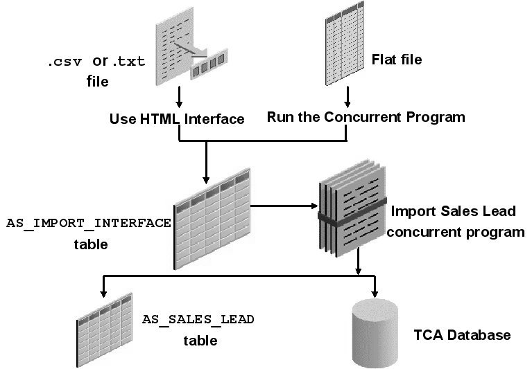 the picture is described in the document text