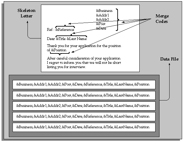 the picture is described in the document text