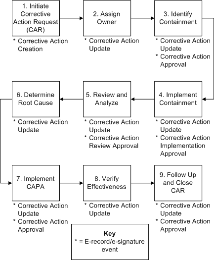 the picture is described in the document text