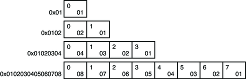 ELFDATA2LSB data encoding.