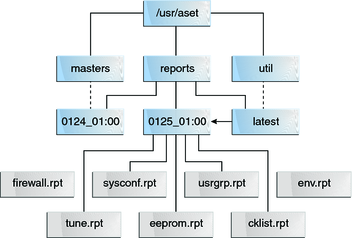 Diagram shows an example of a reports directory under the /usr/aset directory.