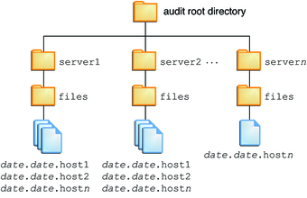 Diagram shows a default audit root directory whose top directory names are server names.