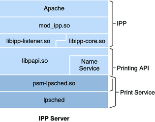 Figure of the components that make up the IPP server configuration. Further explanation included in surrounding text.
