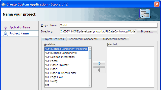 Create custom application, enter project name