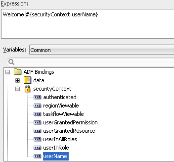 expression builder dialog