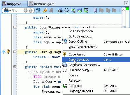 Source editor context menu, with Quick Javadoc menu option selected.