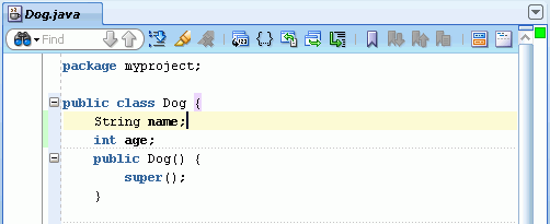 Source editor showing name and age variables added to Dog class.