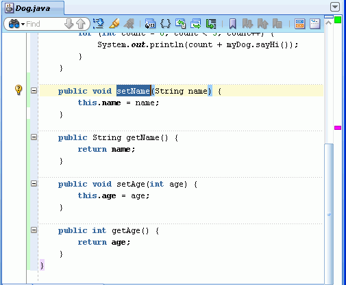 Source editor showing the getters and setters that have been generated for the name and age variables.