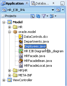 Model project in the Application Navigator