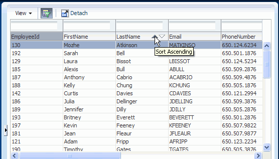 Run time view of Departments table. Cursor over arrow in the LastName field to enable sorting alphabetically.
