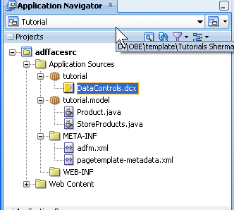 data control files in application navigator