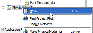 PhysicalModel project in the Application Navigator