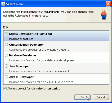 JDeveloper Select Role dialog box.