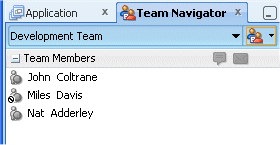 The Team navigator