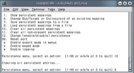 Figure showing lsiutil persistence menu option 10 screen.