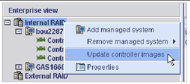Screen shot of the Update controller images menu option.