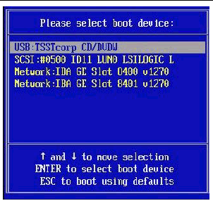 Screen shot of Boot Device menu graphic showing Boot Device Menu, including devices and available network slots