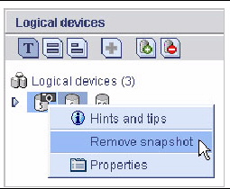 Screen shot of the Remove snapshot menu item.