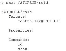 CLI Storage RAID target